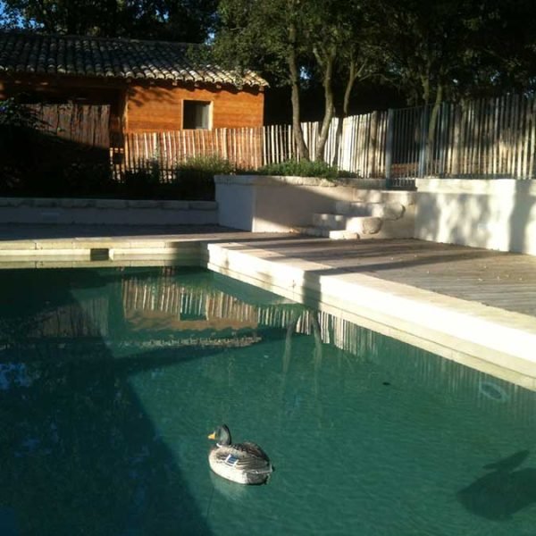 Piscine espace extérieur dans le Gard